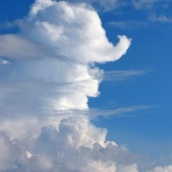 cloud-elephant